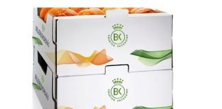 BillerudKorsn's launches high strength kraftliner for corrugated packaging