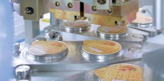 Waldner North America Helps Businesses with Food Packaging Sustainability