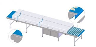 Confectionery and Snacks: Perfect Conveyor Belting Solutions