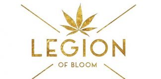 Legion of Bloom Prioritizes Sustainability with Plastic-Free Packaging Solutions