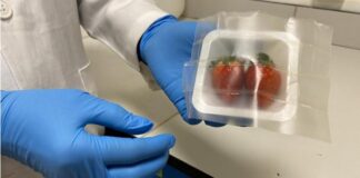 Scientists invent biodegradable bacteria-killing packaging