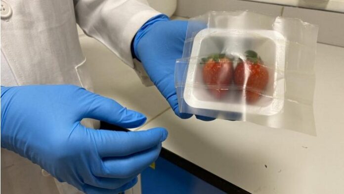 Scientists invent biodegradable bacteria-killing packaging